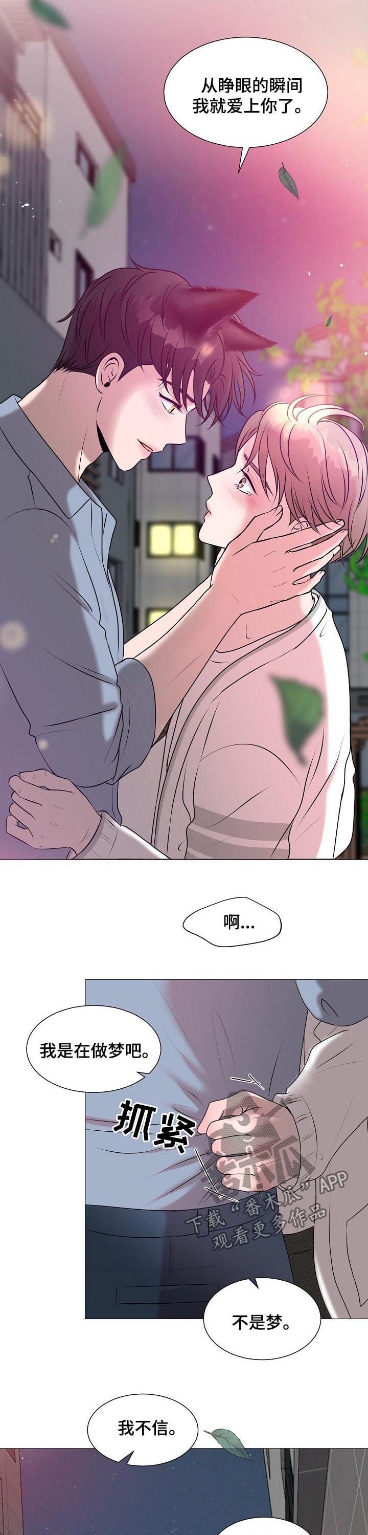 第39章：爱情
