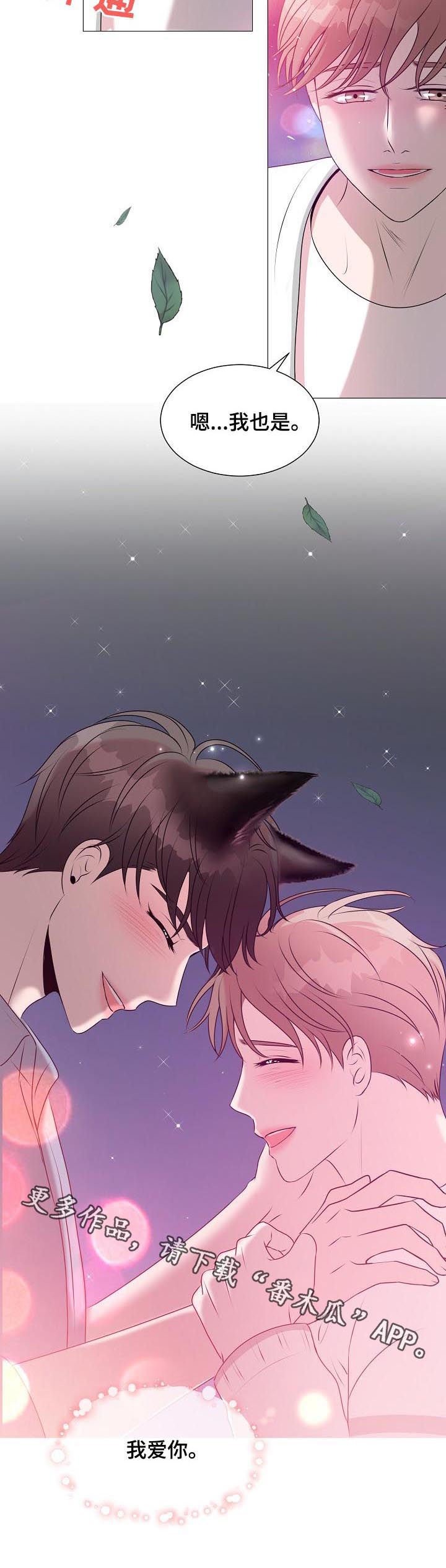 第39章：爱情