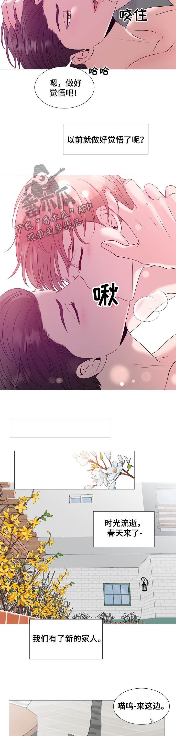 第42章：婚礼