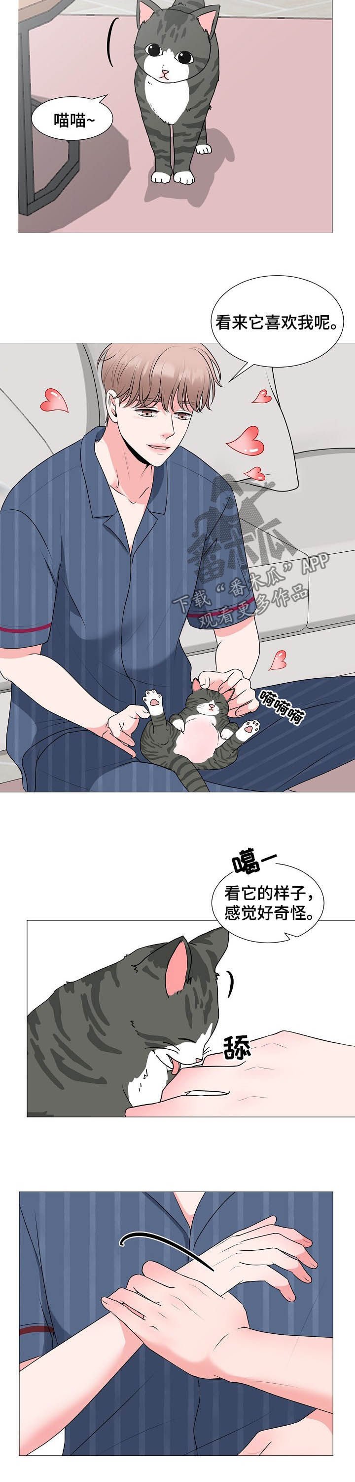 第42章：婚礼