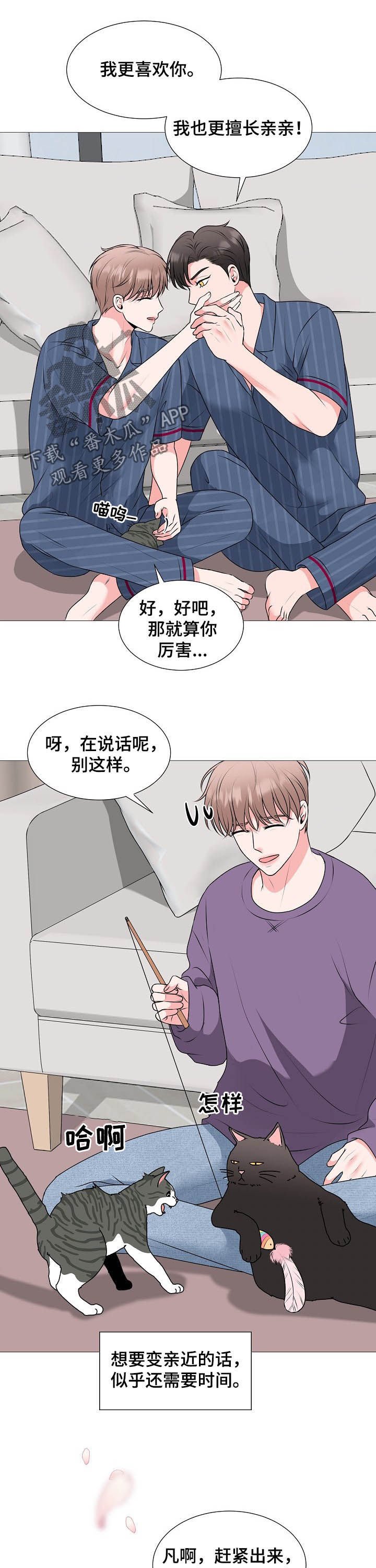 第42章：婚礼