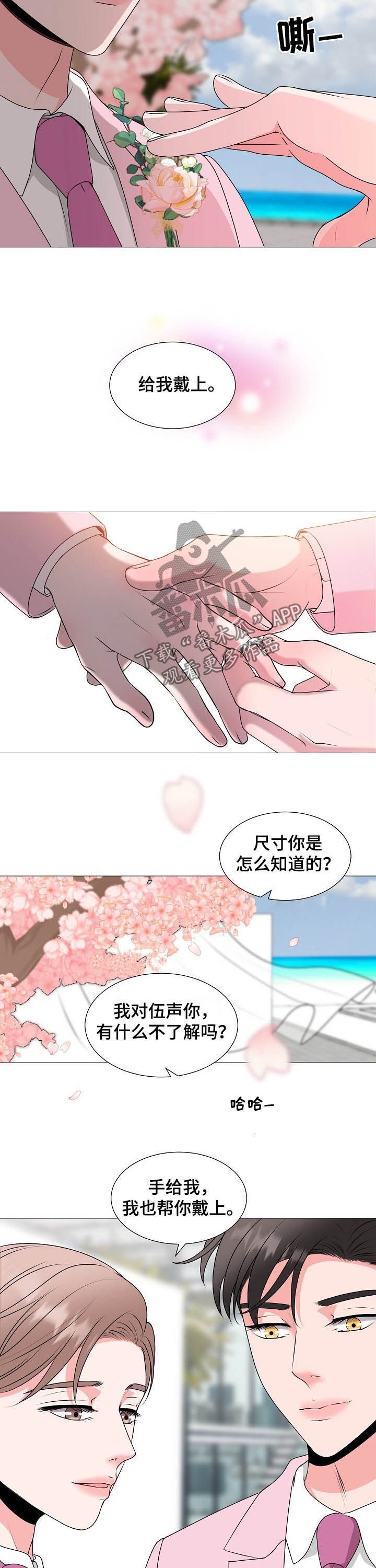 第43章：最后的爱情（完结）