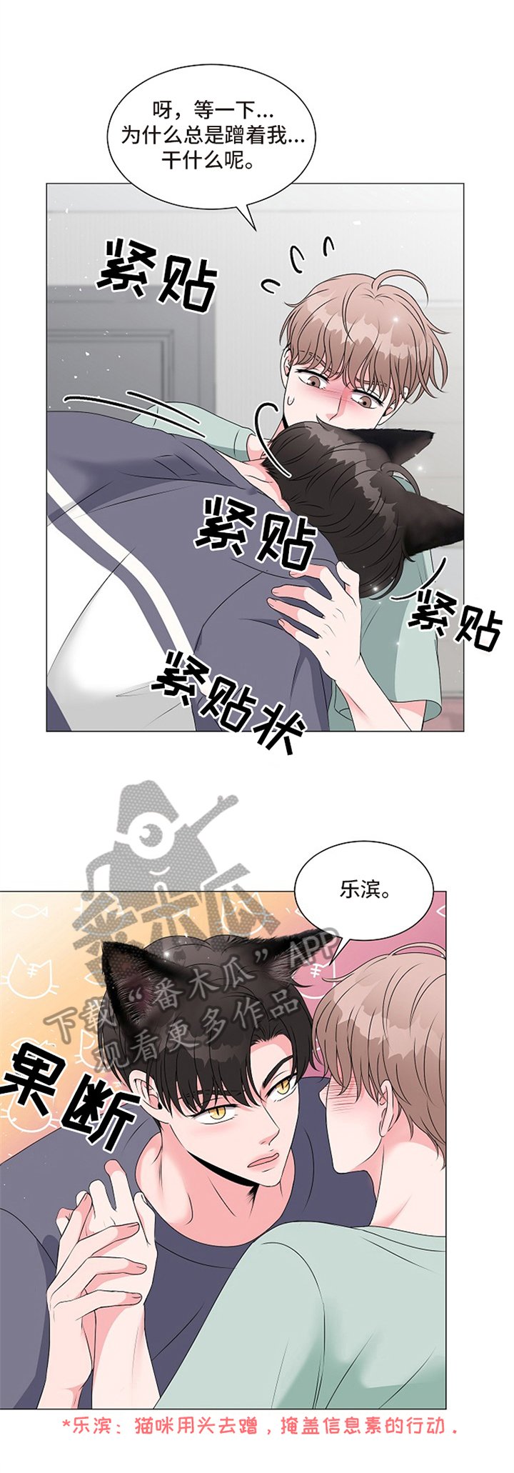 第5章：不能继续