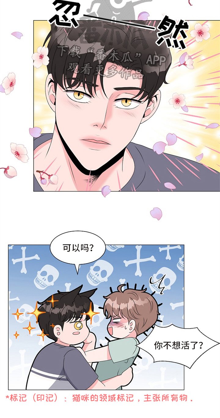 第5章：不能继续