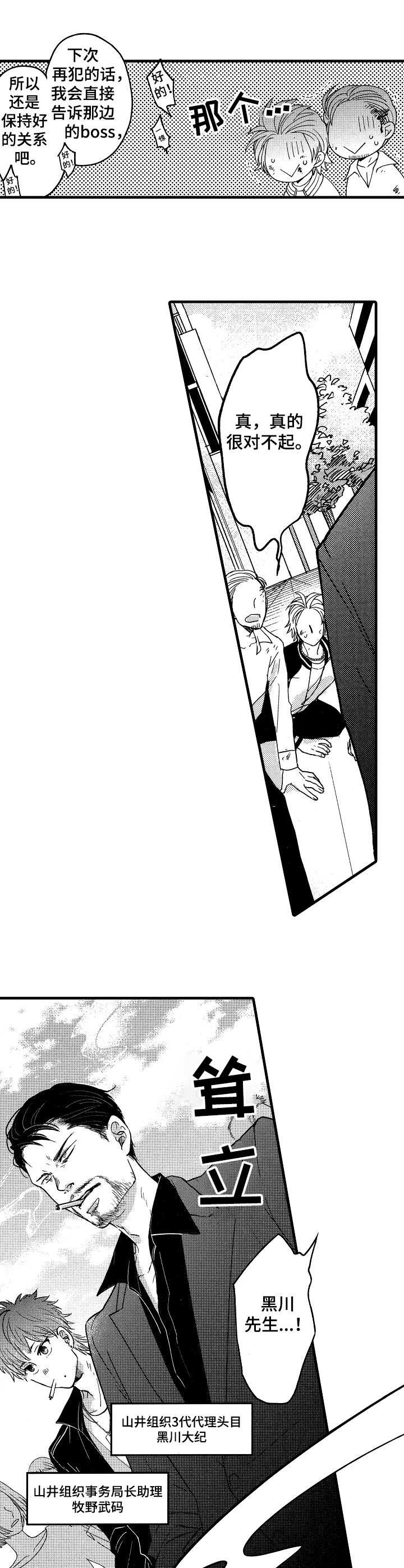 第1章：山井组织