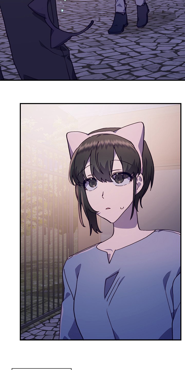 第62章：适合
