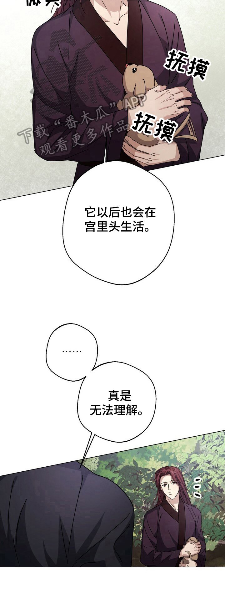 第14章：猜测