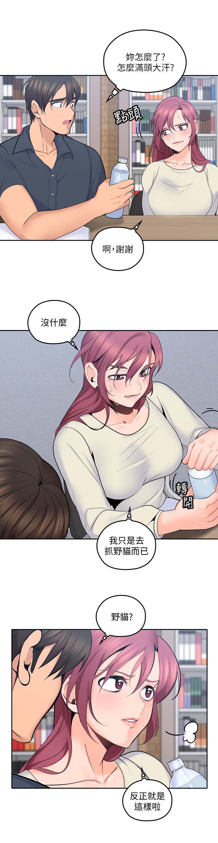 第30章：抓野猫