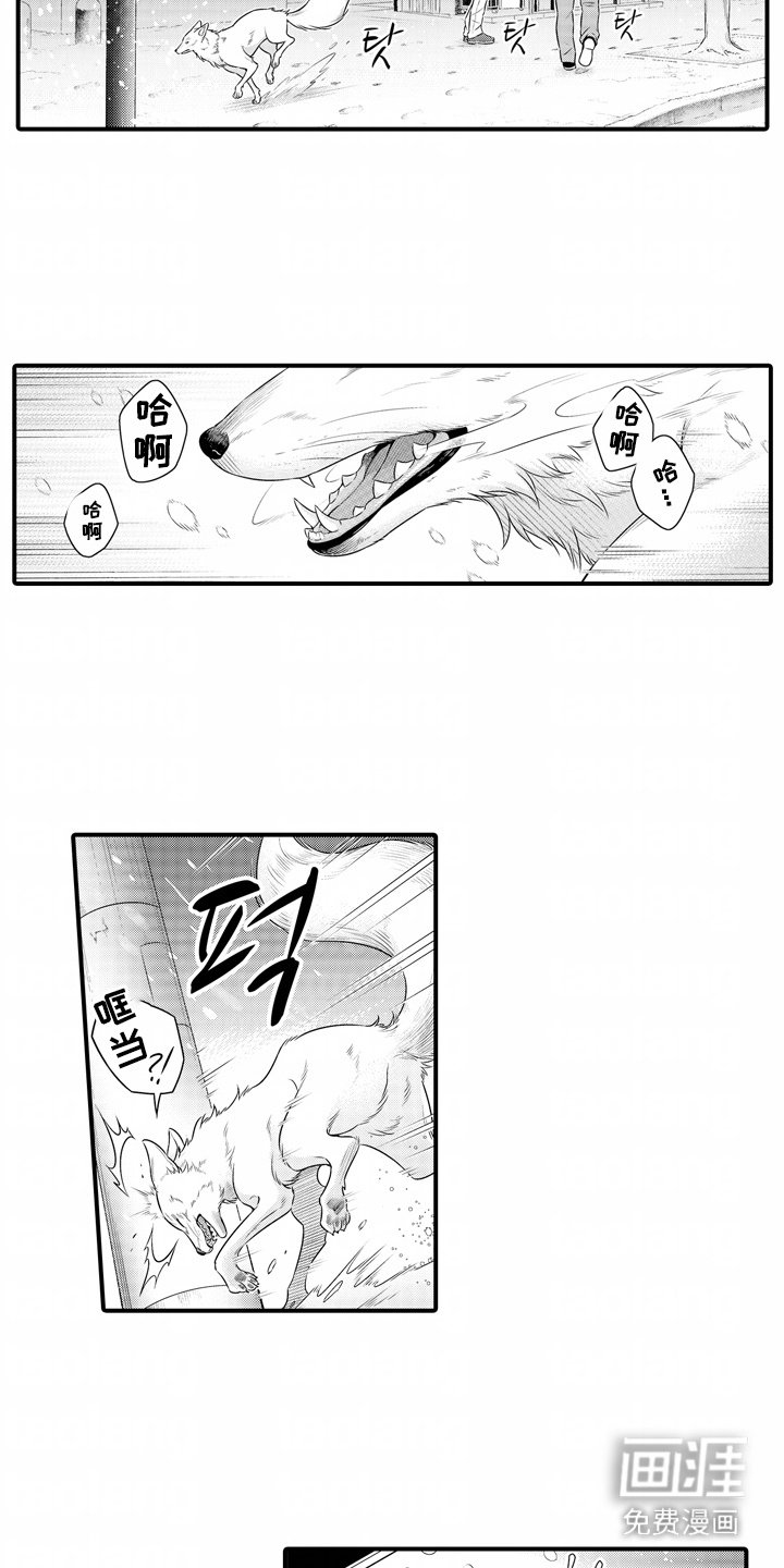 第12章：心痛
