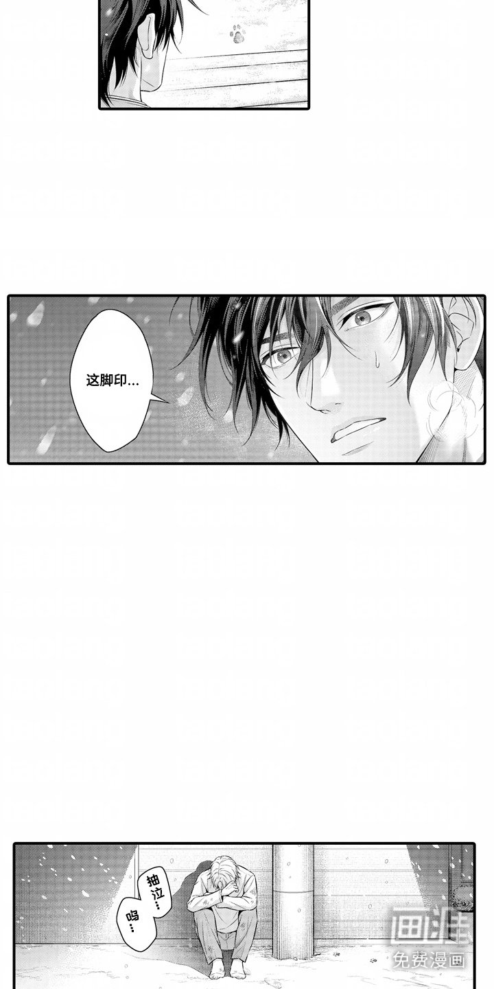 第13章：解释
