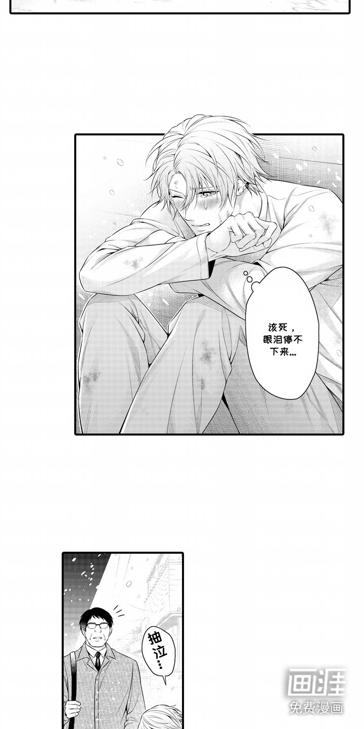第13章：解释