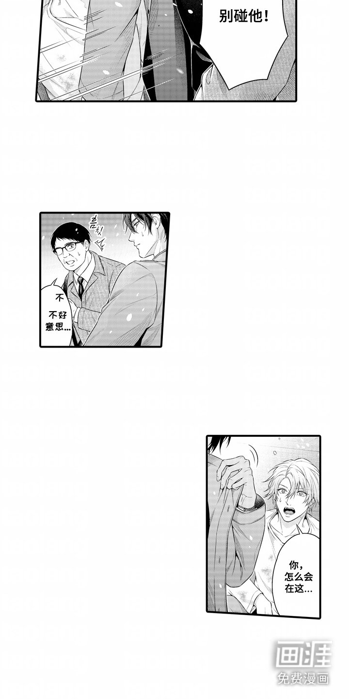 第13章：解释