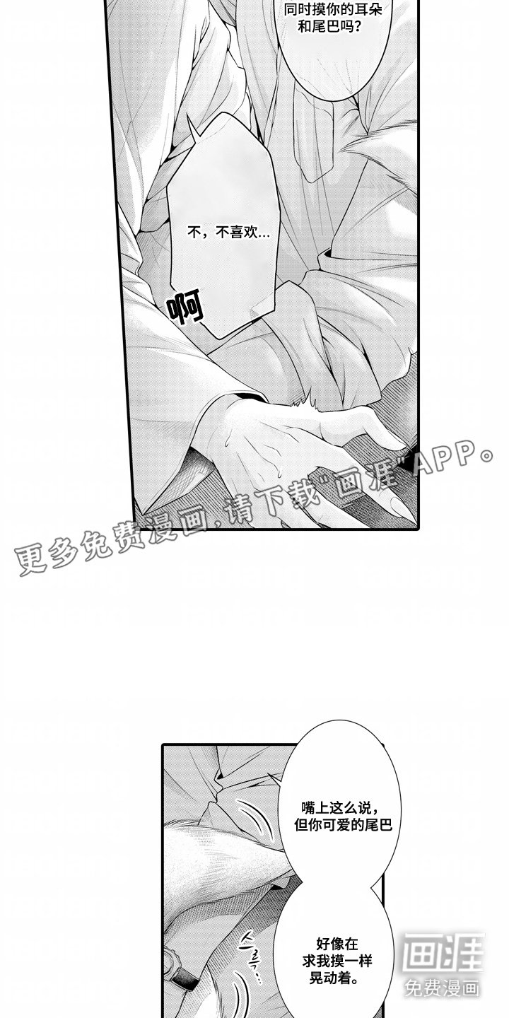 第2章： 尾巴