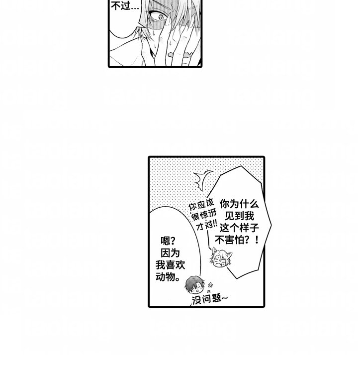 第2章： 尾巴