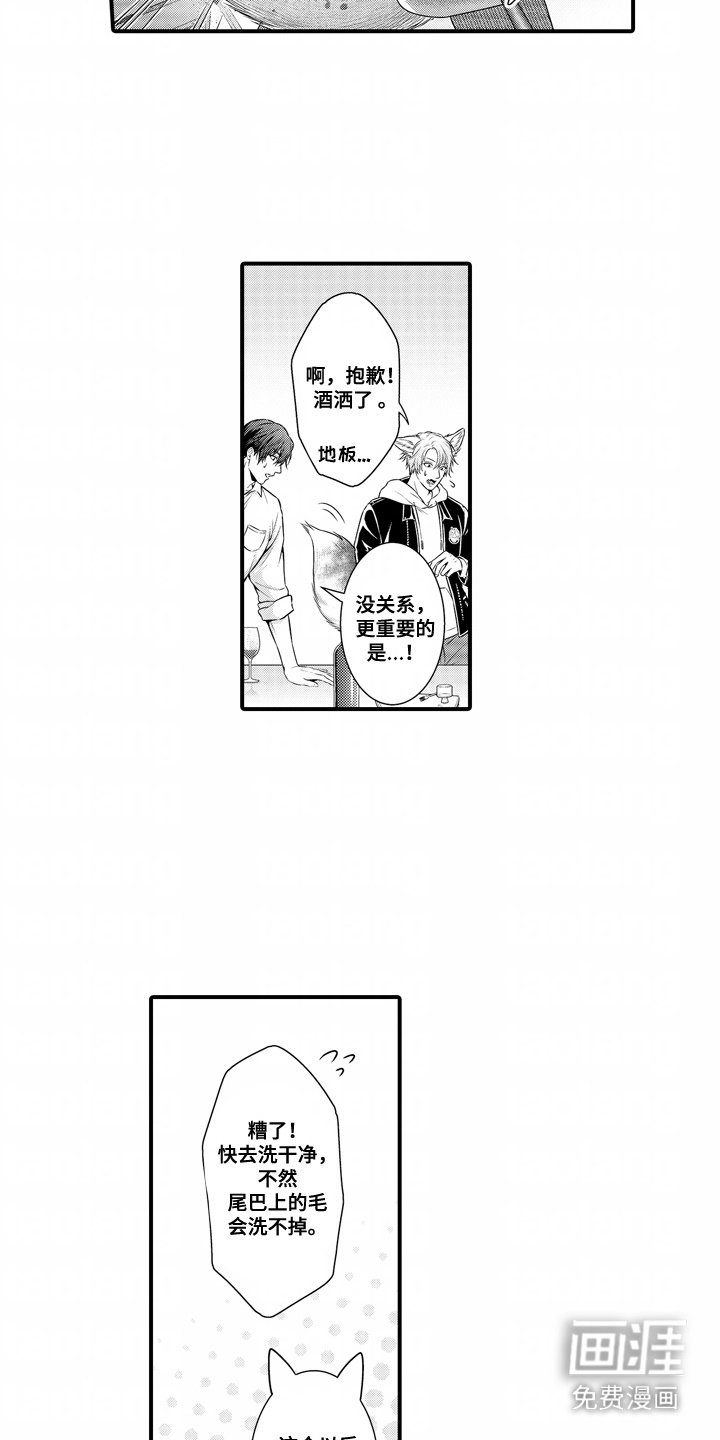 第5章：清洗