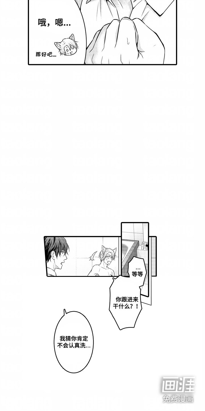 第5章：清洗