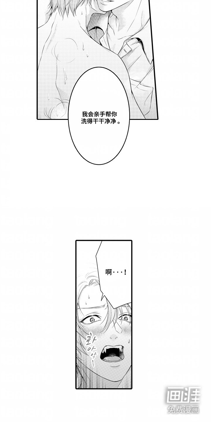 第5章：清洗