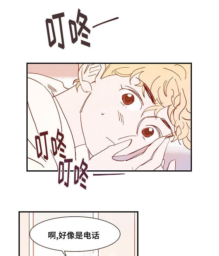 第18章：真实感