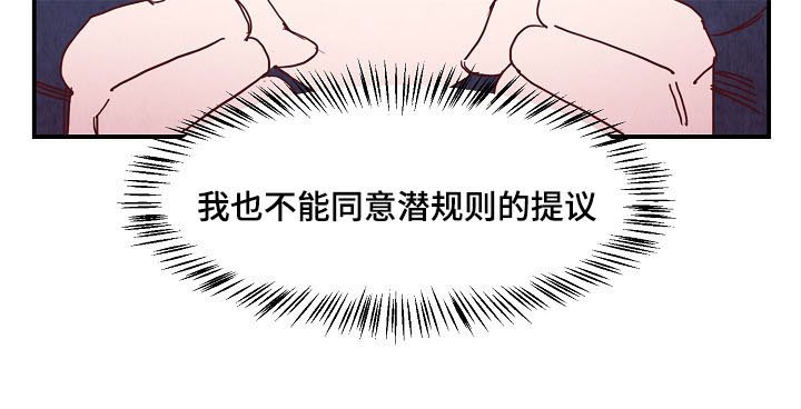 第3章：提议