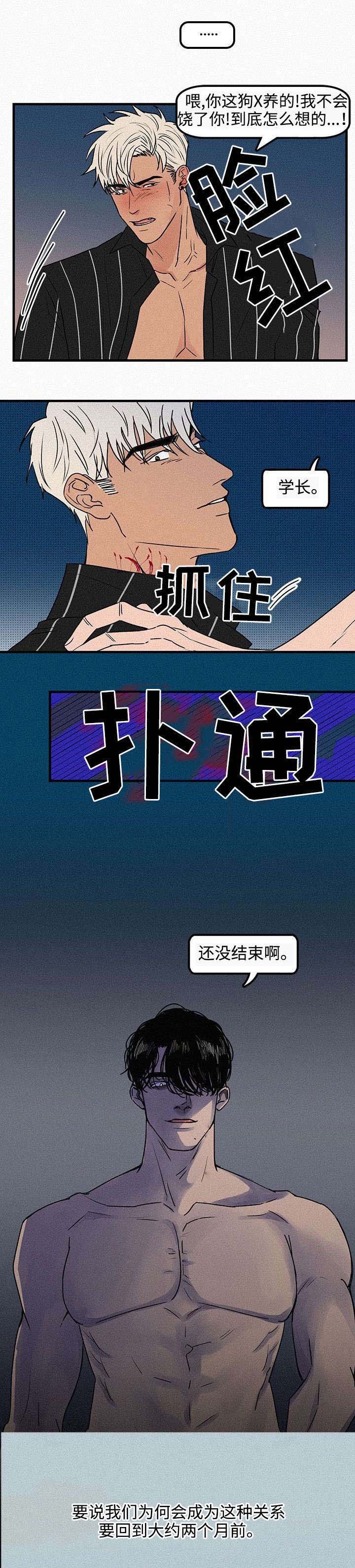 第1章：再次相遇