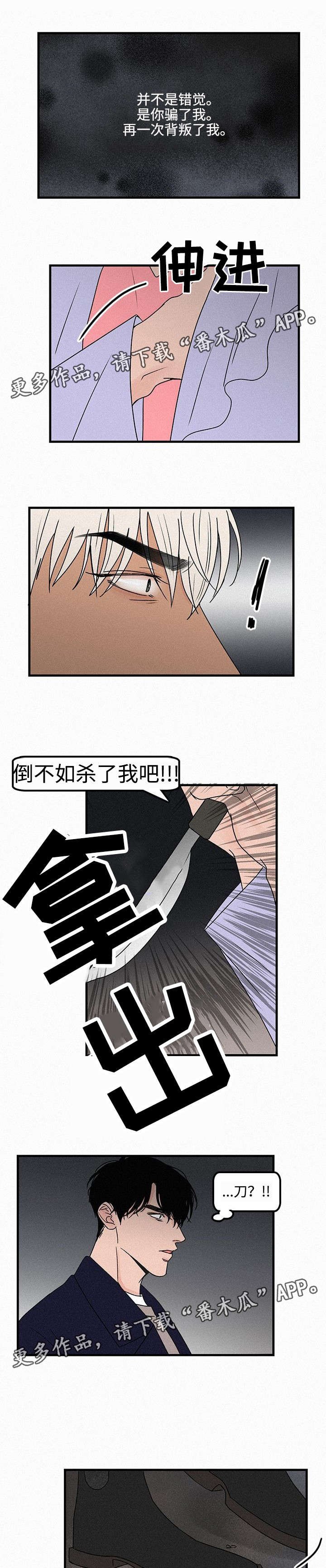 第15章：质问