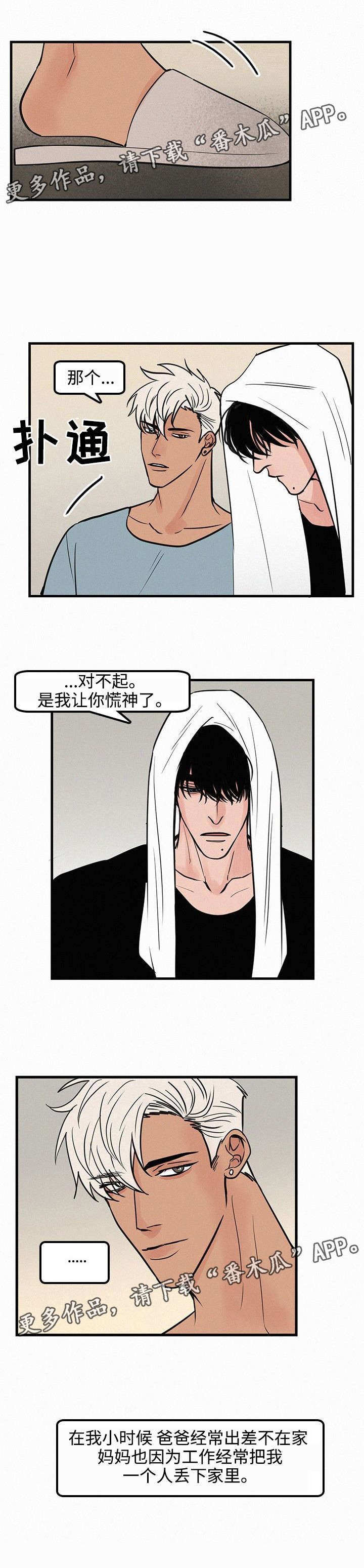 第29章：心理阴影