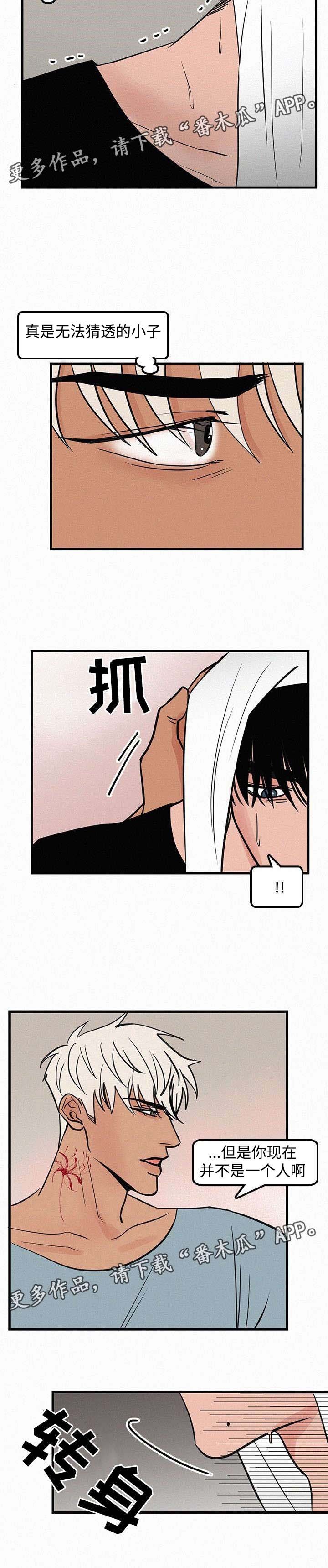第29章：心理阴影
