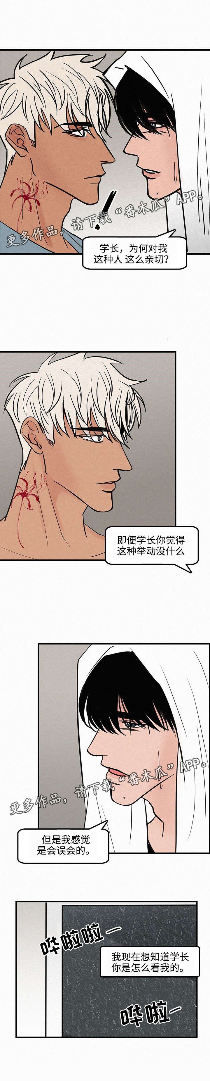 第29章：心理阴影