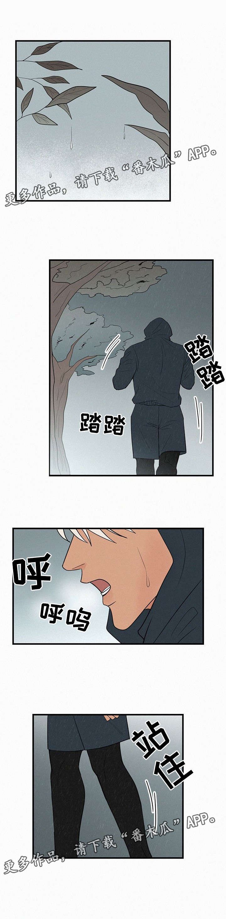 第31章：我爱你，学长
