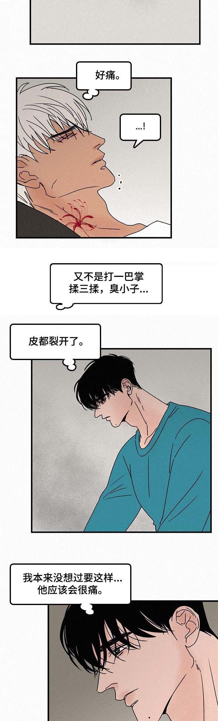 第47章：未知的感情