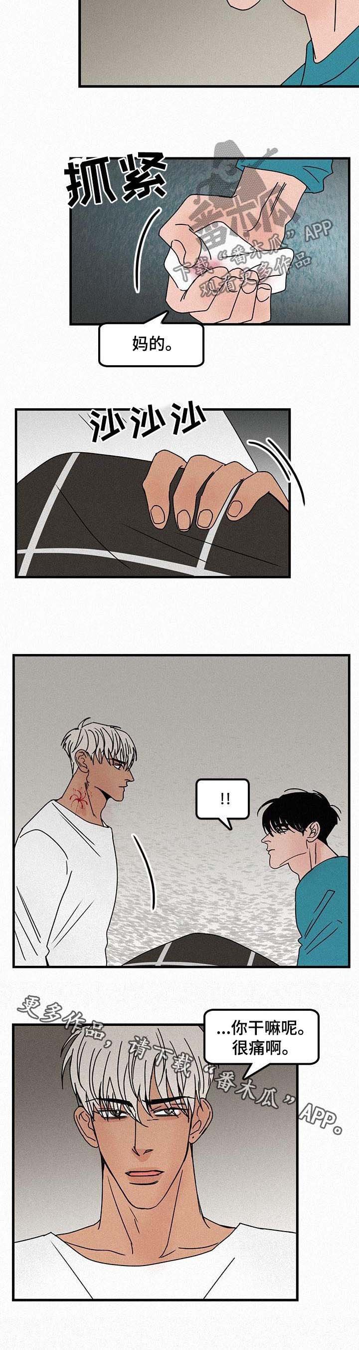 第47章：未知的感情