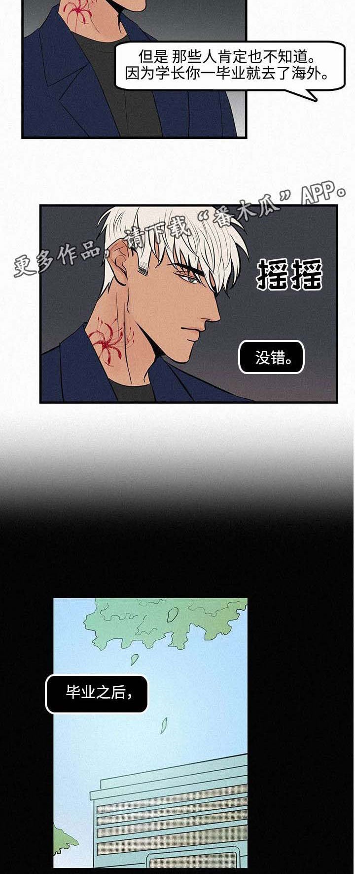 第9章：她的消息