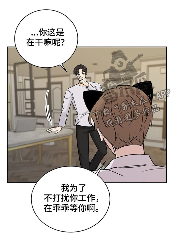 第25章：猫猫玩耍时间