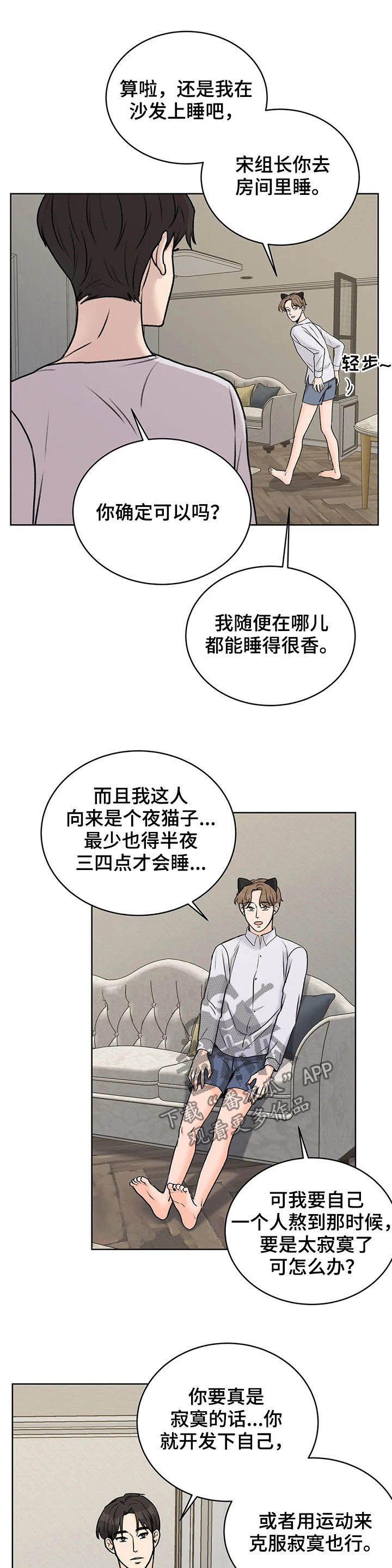 第25章：猫猫玩耍时间