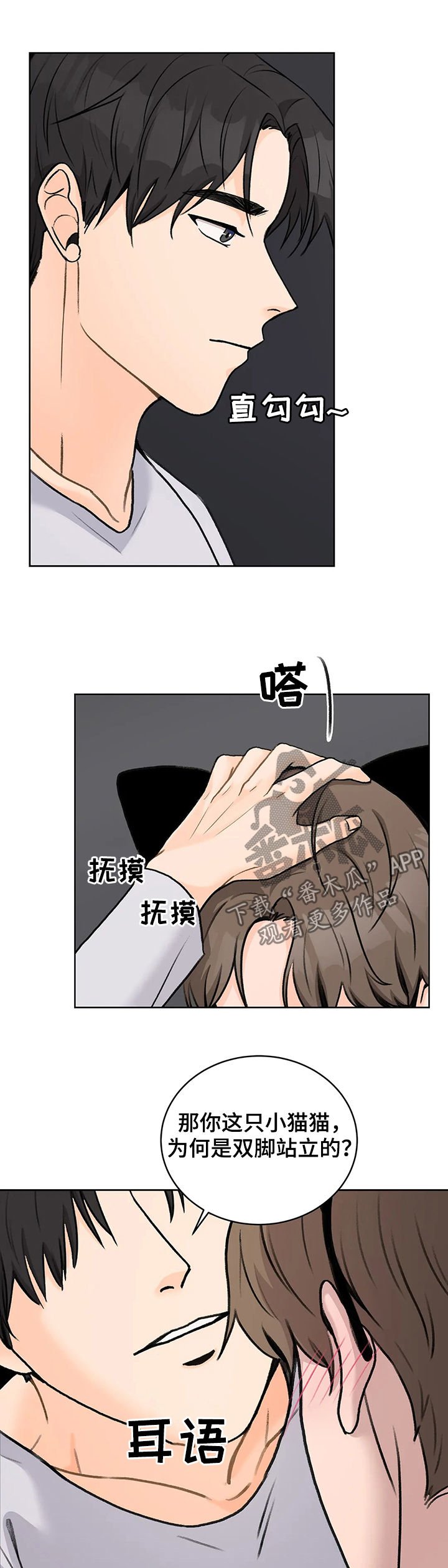 第26章：确定关系