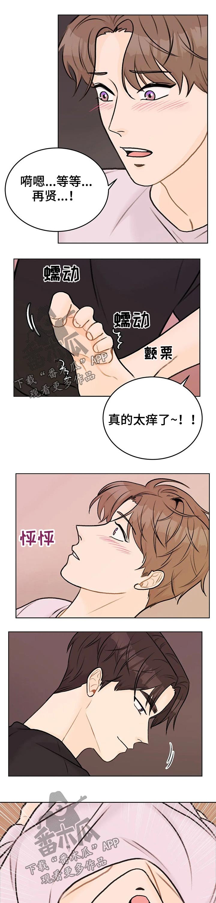 第37章：感觉