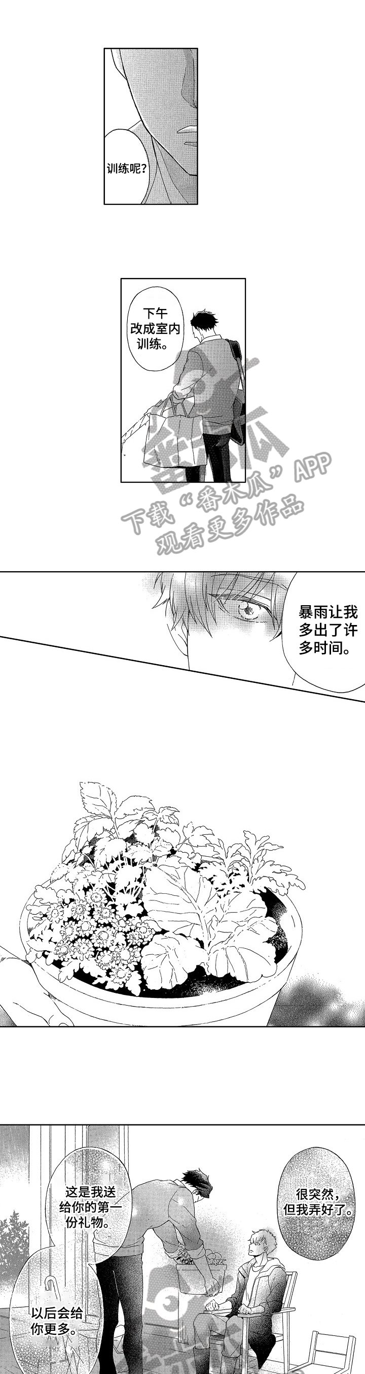第19章：一见钟情