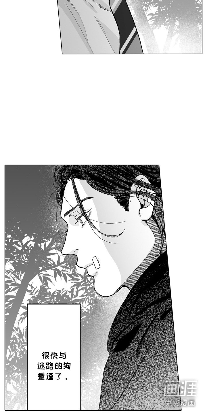第6章：再次遇见