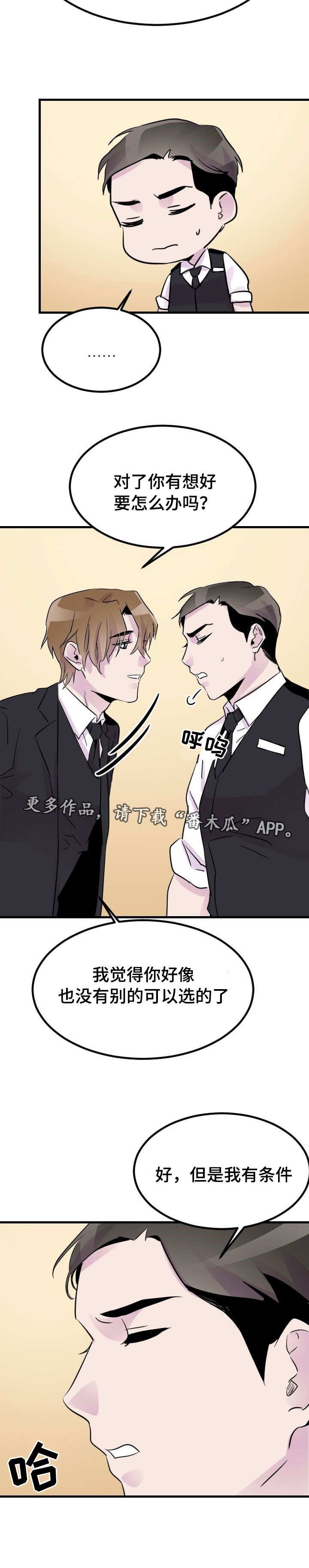第16章：选择
