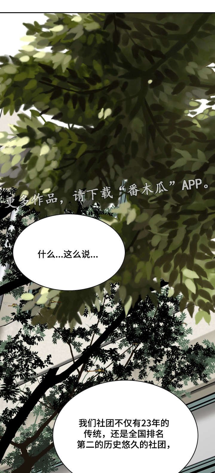 第10章：社团