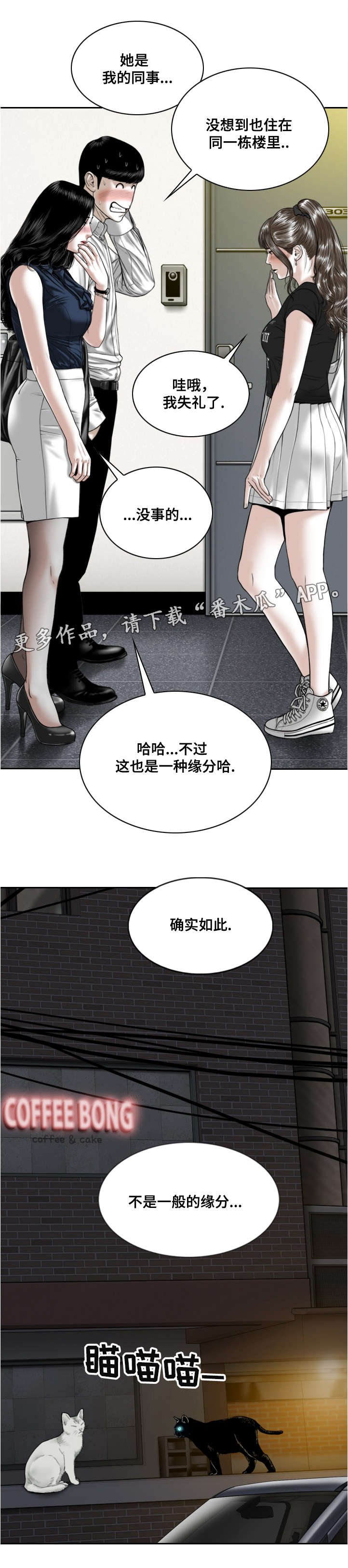 第12章：缘分