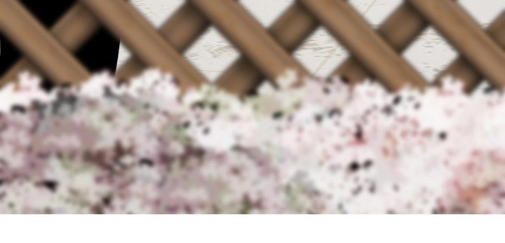 第75章：不是人