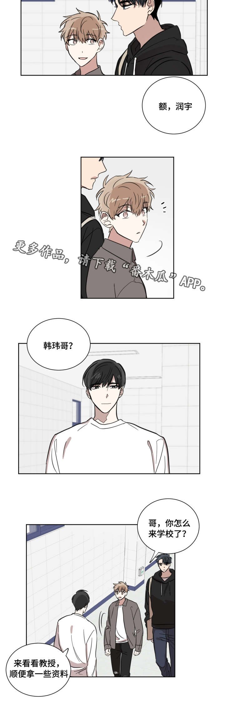 第19章：嫉妒