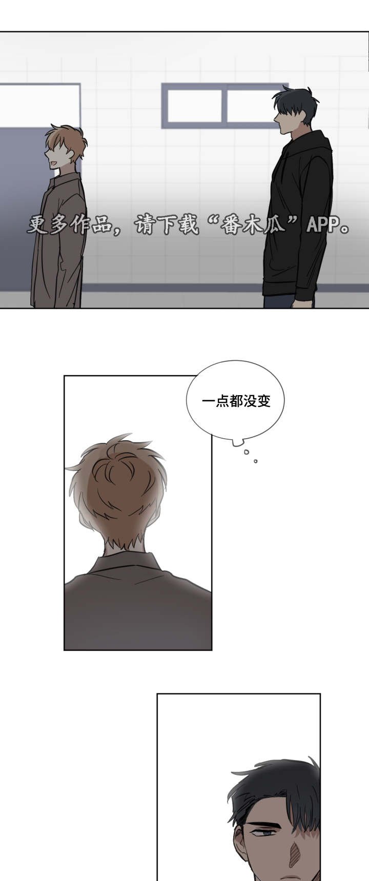 第20章：说中心事