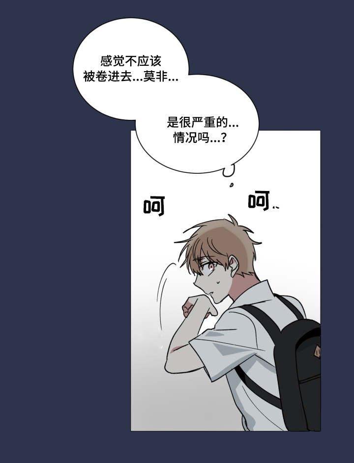 第41章：真相