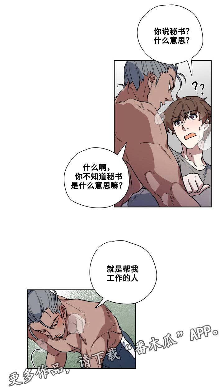 第16章：暴露