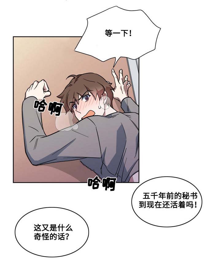 第16章：暴露