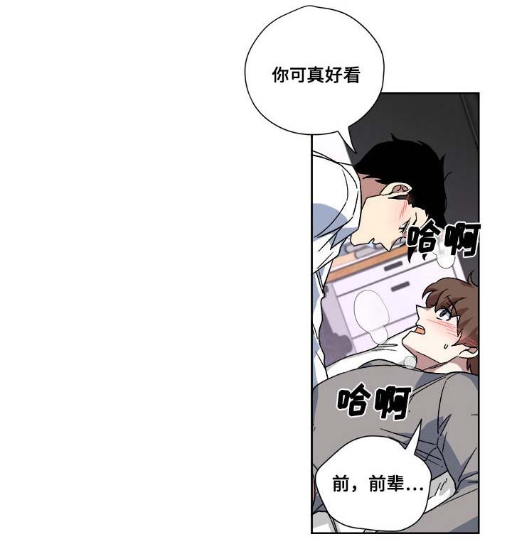 第17章：真面目