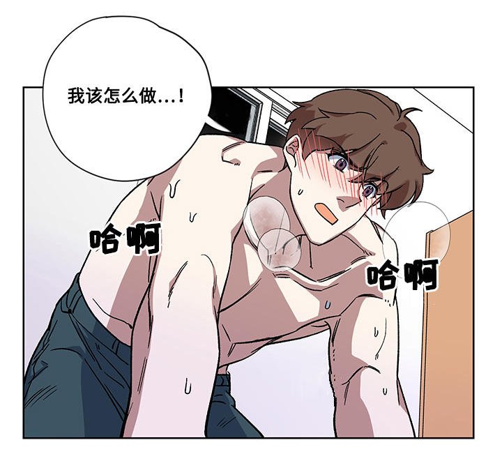 第21章：真心