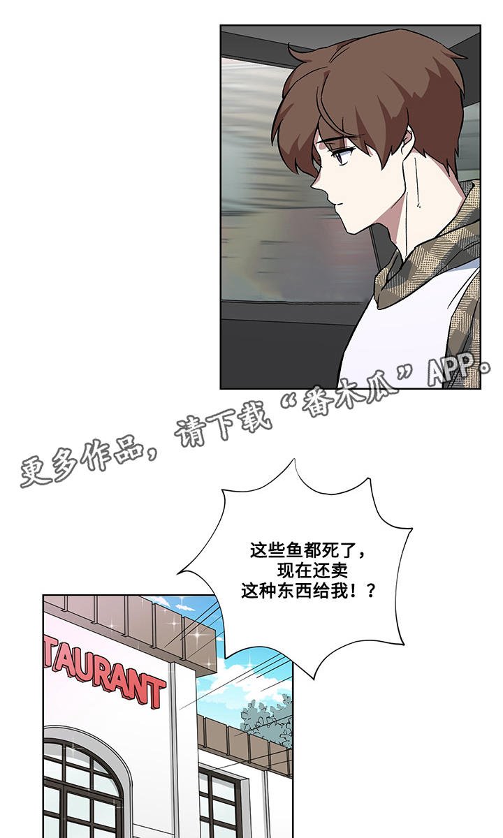第29章：圆满（完结）